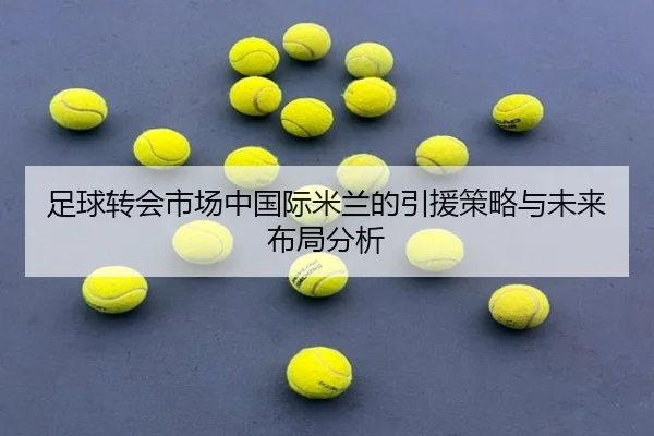 足球转会市场中国际米兰的引援策略与未来布局分析